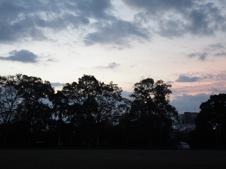 IMG_5321.jpg IMG_5321.jpg